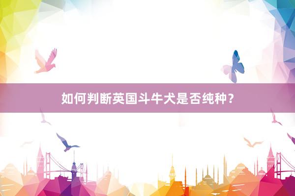 如何判断英国斗牛犬是否纯种？